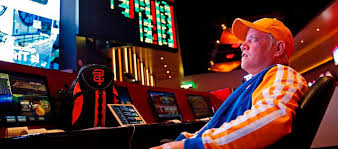 Lucky Duck Casino